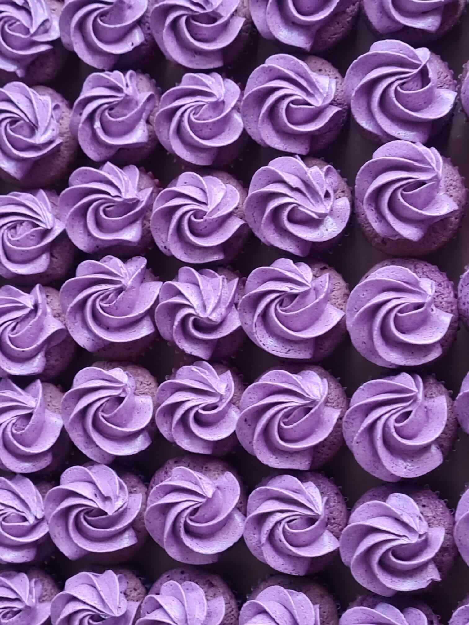 Rows of ube cupcakes